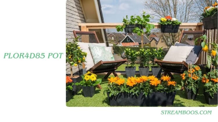 Plor4d85 Pot